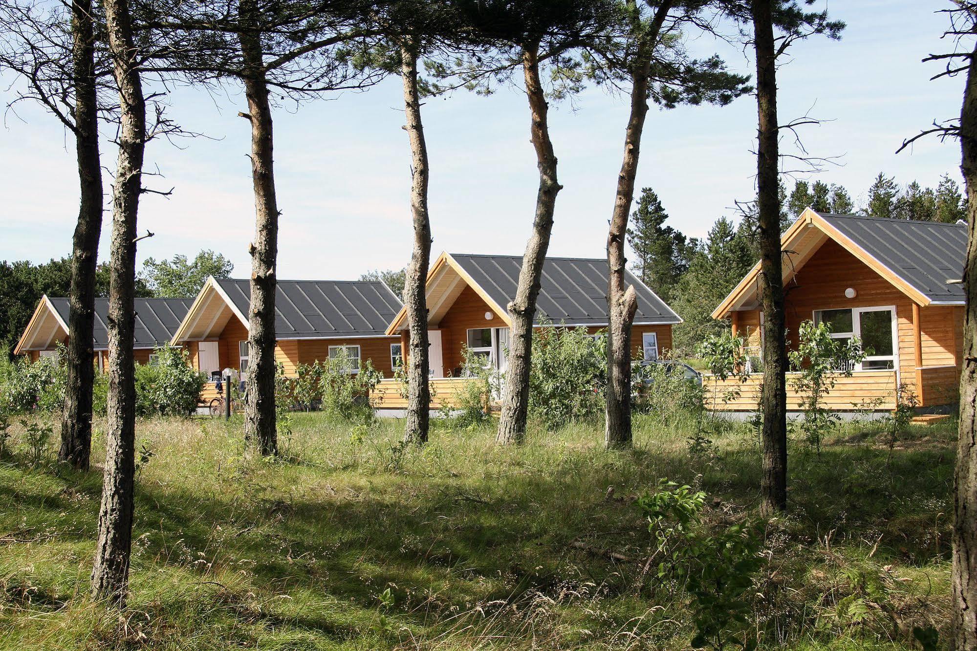 Hotel First Camp Rabjerg Mile - Skagen Extérieur photo